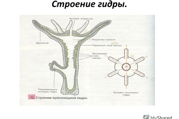 Как пополнить баланс на кракене